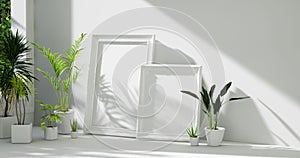 Empty white room interior with classic picture frames, tropical home plants on the floor, sunlight from windows. zoom in