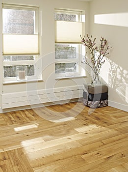 Empty white room with wood floor and sunlite