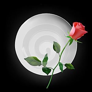 Empty white round plate with red rose