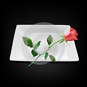 Empty white square plate with red rose