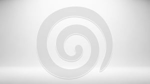Empty White Studio Background with Subtle Spotlight Effect white background clean