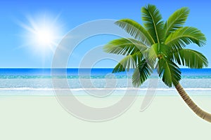 Empty white tropical beach with a palm a coconut tree. Realistic vector illustration