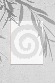 Empty white vertical rectangle poster mockup with willow leaves shadows