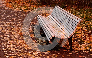 Empty white wooden bench and autumn leaves on it in the park.Golden autumn