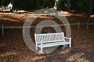 An empty white wooden bench in autumn park.