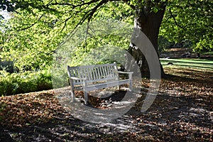 An empty white wooden bench in autumn park.