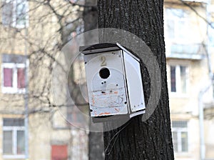 An empty white wooden birdhouse on a tree in the garden in spring