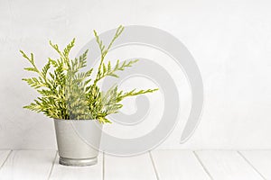 Empty white wooden table with green plant pot and white concrete wall texture background