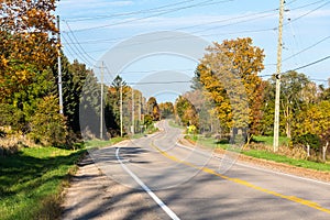 Empty winding country road on a clear autumn day