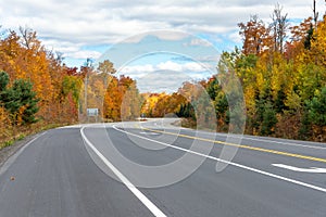 Empty winding highway through a forest on a partly cloudy autumn day