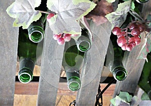 Empty wine bottles hanging from ceiling