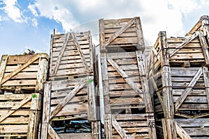 Empty wine bottles stacked in wine boxes