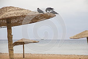 Empty beach in Taba, Egypt
