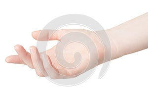 Empty woman hand on white