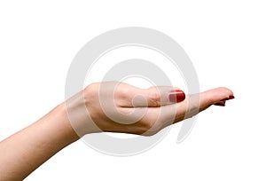 Empty woman's hand on white