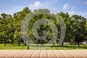 Empty wood plank table top with big trees, green grass, sky and clouds with blur background - For product display.