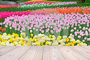 Empty wood table with colorful Tulip flower background in spring season, Mock up for your product display or montage