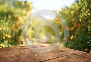 Empty wood table with free space over orange trees, orange field background. For product display montage