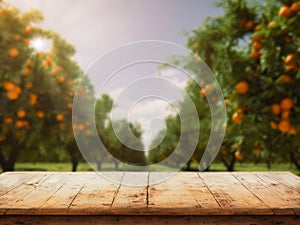 Empty wood table with free space over orange trees, orange field background. For product display montage