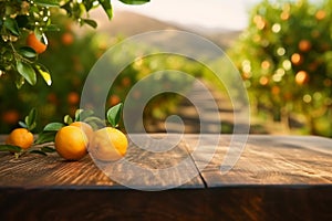 Empty wood table with free space over orange trees, orange field background. For product display montage