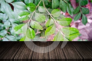 Empty wood table top on blur abstract background. For montage product display layout