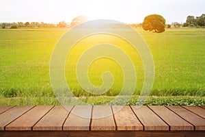 Empty wood table top on blur abstract green from paddy field