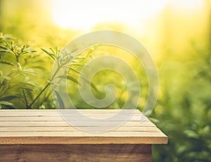 Empty of wood table top on blur of fresh green abstract from garden