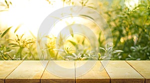 Empty of wood table top on blur of fresh green abstract from garden