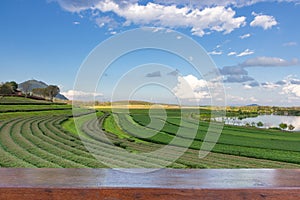 Empty wood table top on Landscape view of tea plantation with blue sky in afternoon, Nature background
