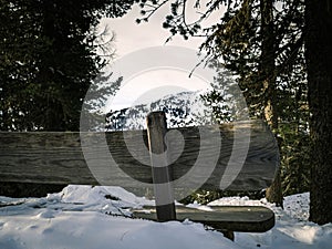 Empty wooden bench covered in snow in a pine forest