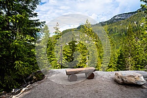 Empty Wooden Bench in a Forest under Cloudy Sky in Summer