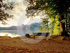 Empty wooden bench at mountain lake. Bank under beeches tree,