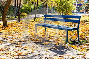 Empty wooden bench near path in park in autumn