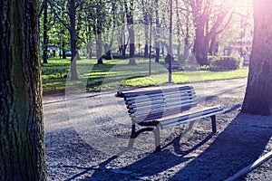 Empty wooden bench in a park.