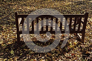 Empty wooden bench at a park with a bed of fallen leaves during fall in Villa Belgiojoso Bonaparte garden Milan, Italy