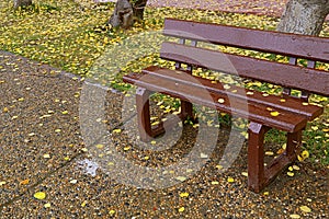 Empty wooden bench with raindrops in the autumn park