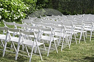 Empty wooden chairs in white, arranged in rows against the background of hedges