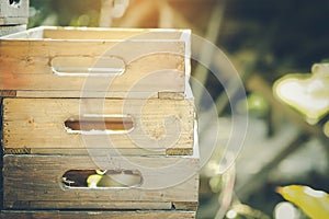 Empty wooden crates and morning light waiting to be used