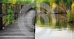 Empty wooden dock