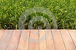 Empty wooden floor on rice fields with blue sky.