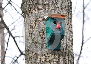 An empty wooden funny green birdhouse on a tree in the garden in spring