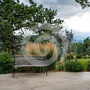 Empty wooden park bench for meditation