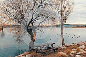 Empty wooden picnic table next to trees by the Blue Lake I Mavi Gol in autumn in Ankara. Ducks swimming in the lake. Seasonal scen