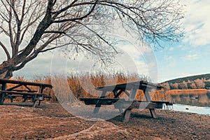 Empty wooden picnic tables next to tree by the Blue Lake I Mavi Gol in autumn in Ankara. Ducks swimming in the lake.