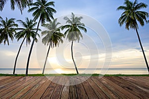 Empty wooden pier on Sea coast, Coconut palms on tropical beach