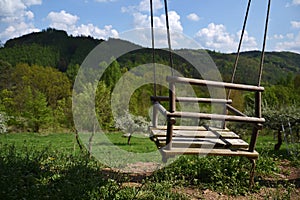 Empty wooden rope swing in nature