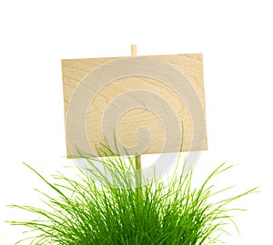 Empty Wooden Sign with Fresh Green Grass / isolated on white