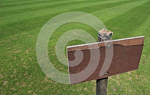 Empty wooden signpost in grass