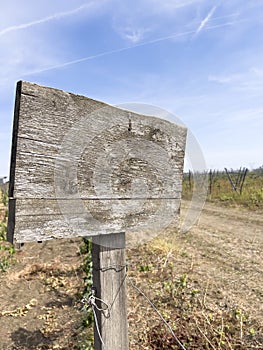 empty wooden signpost over field and sky with copy space