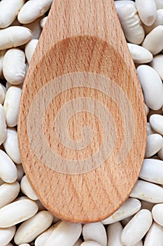 Empty wooden spoon on Pile Great Northern Beans background.